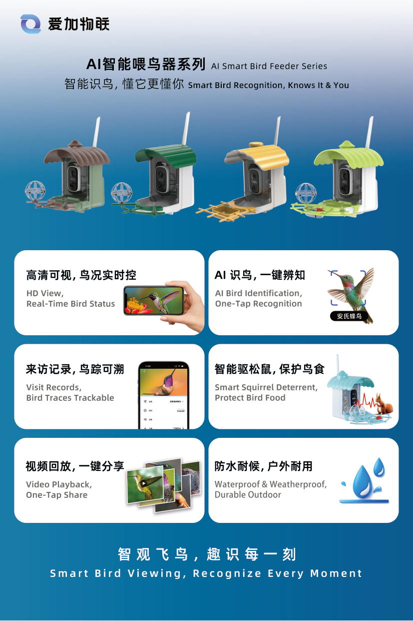 单页文件_复制_画板 1-09.png